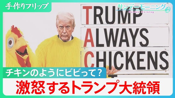 “TACO”すなわち“チキンのようにビビって”？皮肉に激怒のトランプ氏　石破氏と“チキンレース”